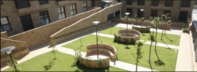 Residencia Rosalba Sevilla la Nueva