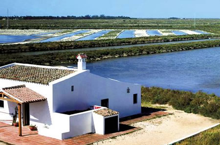 Huerto en Chiclana de la Frontera