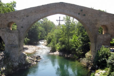 Estancias temporales en residencias de Asturias