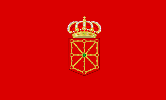 ley de dependencia navarra