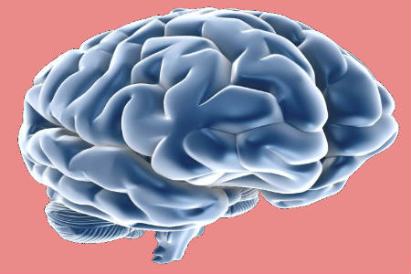 Cerebro con Alzheimer