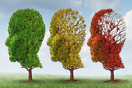 Diagnóstico de Alzheimer