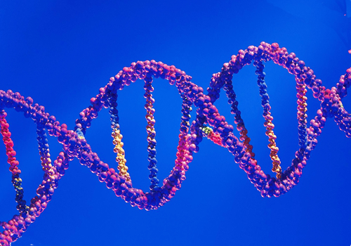Diagnóstico genético del Alzheimer