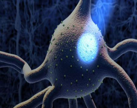 Investigación sobre demencia