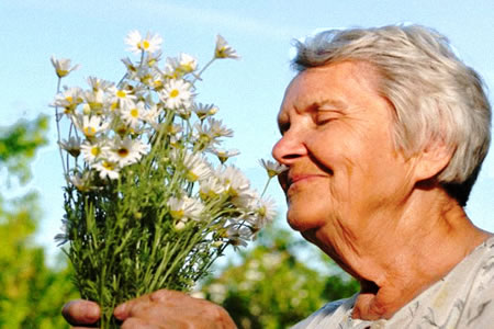 Olfato predictor Alzheimer en ancianos