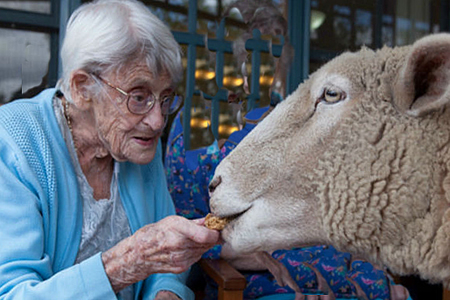 Animales en residencias geriátricas