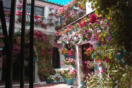 Patio cordobés con flores