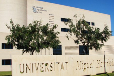 Universitat Miguel Hernandez Alicante