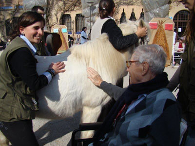 Terapia con caballos equinoterapia en Residencia Millet L'Ametlla