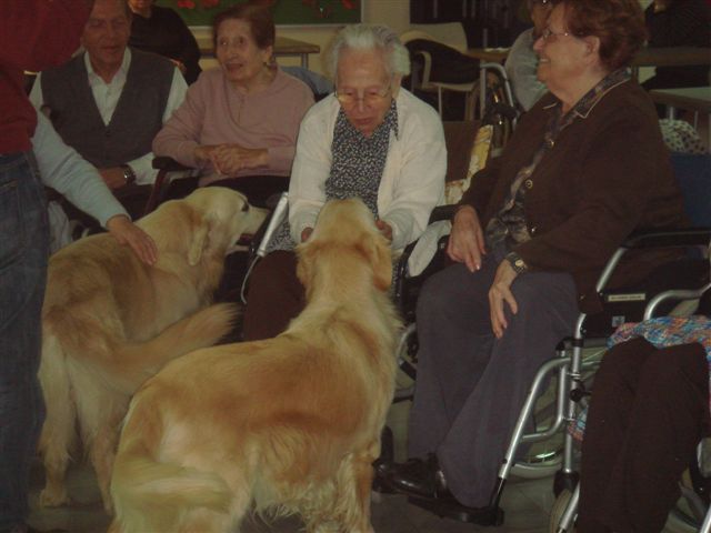 Perros en residencias geriátricas