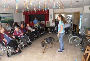Terapia con canes en residencia de mayores Les Oliveres en Cervelló