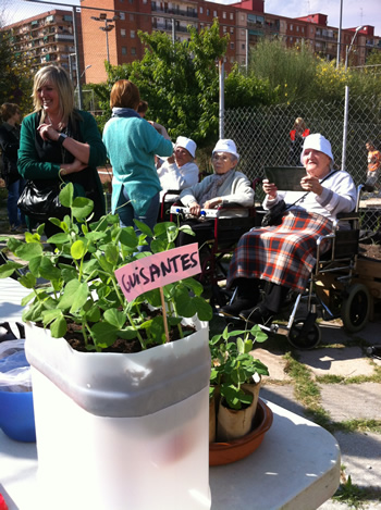 Huerto Urbano en residencia geriátrica Mossèn Anton