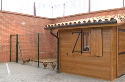 Gallinero de residencia con modelo Housing en Soria
