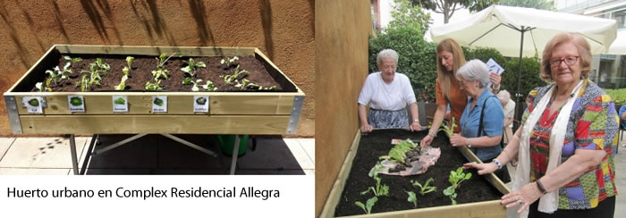 Huerto en la residencia geriátrica Allegra de Sabadell