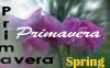 Primavera